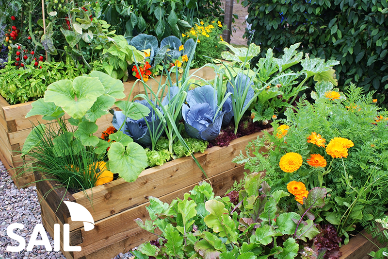 Benefits of Starting a Fruit & Vegetable Garden